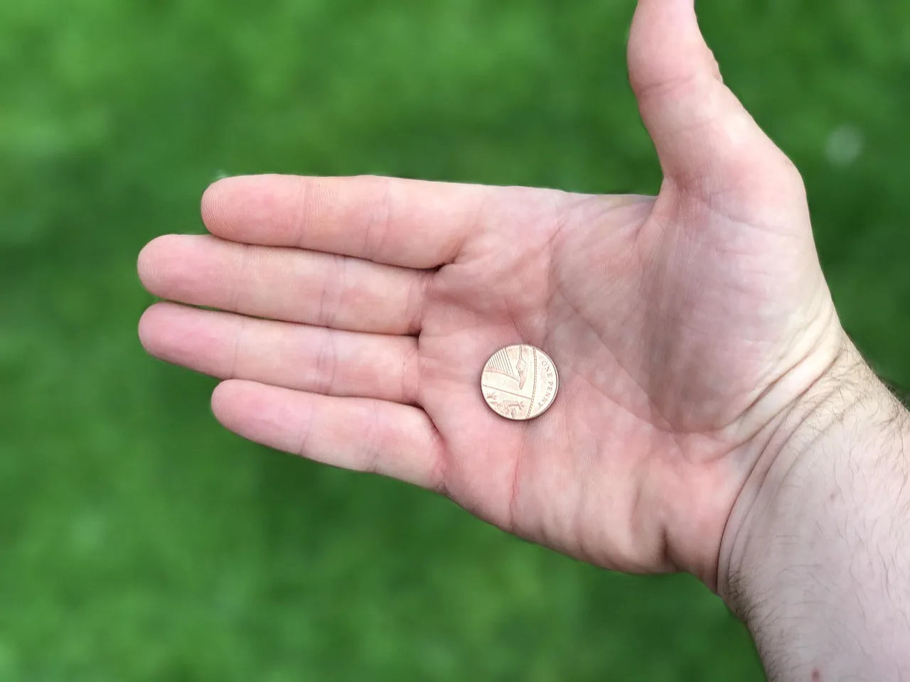 coin, hand, green, money, finance, income, green money, green finance, coin, coin, coin, money, money, money, money, money, income, green money, green money, green money, green money, green money, green finance
