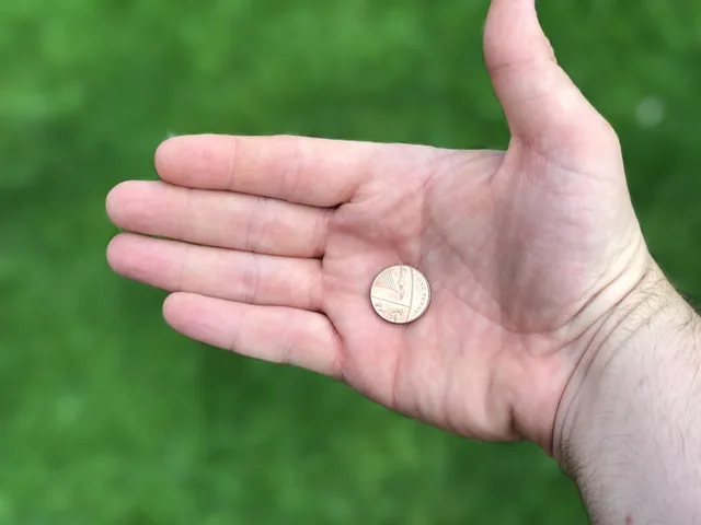 coin, hand, green, money, finance, income, green money, green finance, coin, coin, coin, money, money, money, money, money, income, green money, green money, green money, green money, green money, green finance. Briefing female finance influencers: UK rules and checks