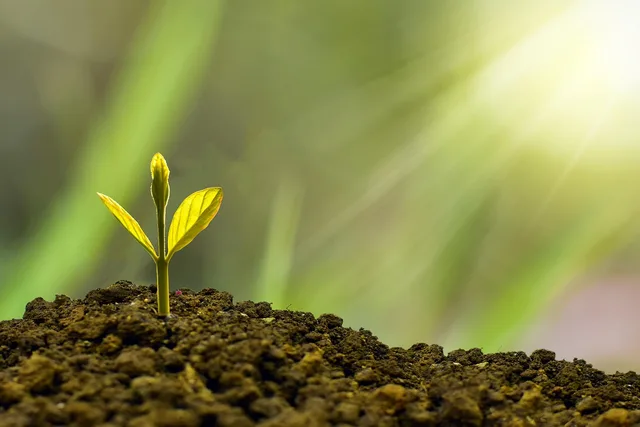 investment, concept, business, finance, growth, plant, money, wealth, grow, green, coin, success, tree, financial, cash, currency, profit, leaf, growing, nature, banking, economy, bank, investment, business, business, growth, growth, growth, growth, growth, plant, plant, money, money, grow, success, success, success, tree. Finance creators key metrics: six rates with numerators, denominators and exclusions, tested on GOV.UK data quality