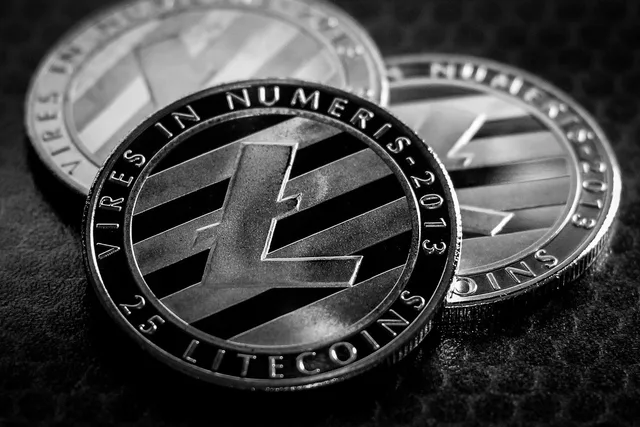 litecoin, business, finance, financial, coin, cryptocurrency, wealth, money, currency, payment, gray money, gray finance, litecoin, litecoin, litecoin, litecoin, litecoin. What to check in finance content before release, and how to withdraw it fast