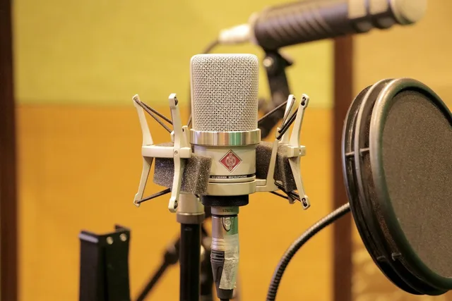 mic, microphone, dubbing, music, radio, speech, studio, sound, audio, voice, interview, equipment, karaoke, entertainment, vocal, technology, broadcasting, dubbing, dubbing, dubbing, dubbing, dubbing, interview, karaoke. A UK finance podcast sponsorship budget built from quote lines